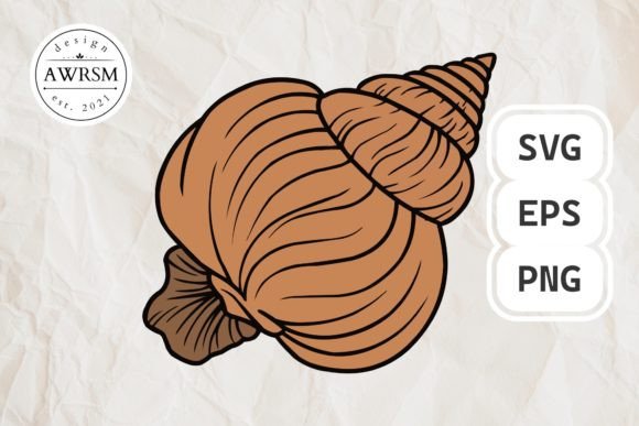 Download Clamshell SVG Vector, Seashell Clipart - Vector Collection