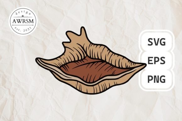 Download Clamshell SVG Vector, Seashell Clipart - Vector Collection