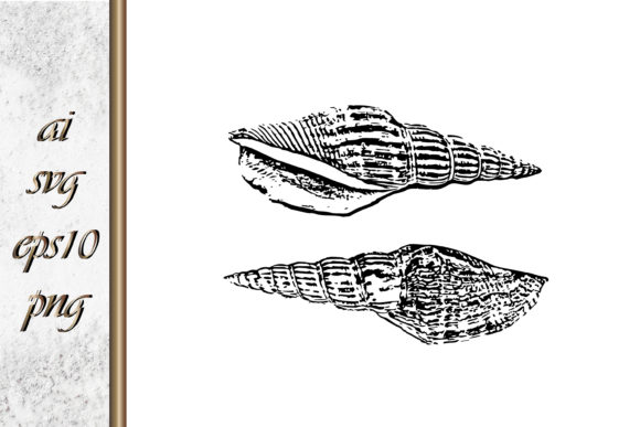 Download Doodle Shellfish Hand Drawn Sketch Vecto - Doodle Collection