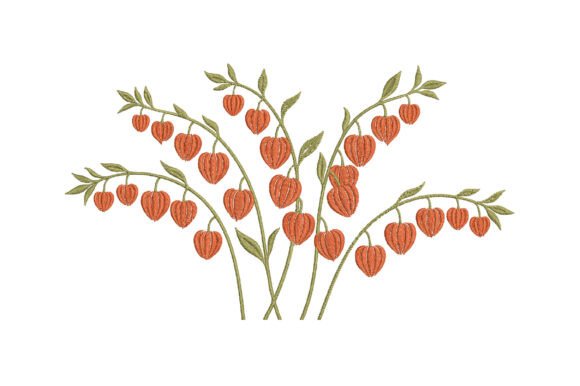 Download Chinese Lantern Plant Embroidery Design - Plant embroidery Collection